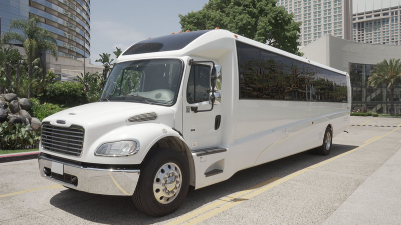 SureRide VIP Coach Our Fleet Section